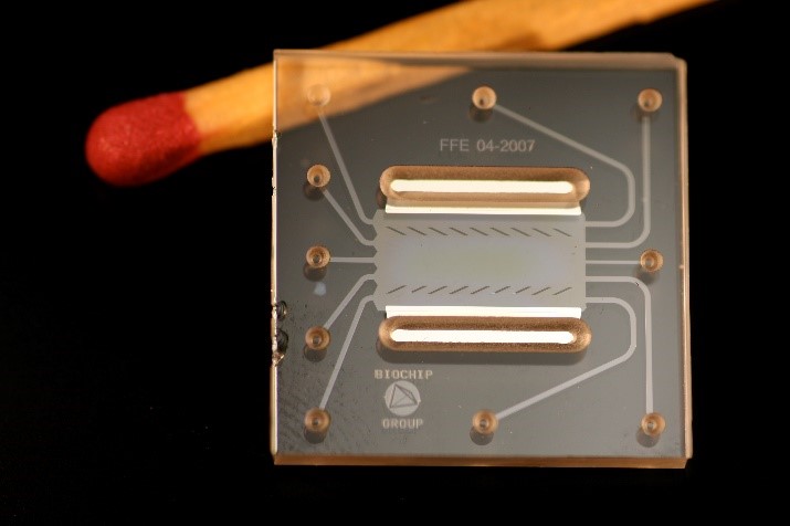 Cyrus Jabbaru Microfluidics Cyrus Jabbaru Microfluidics