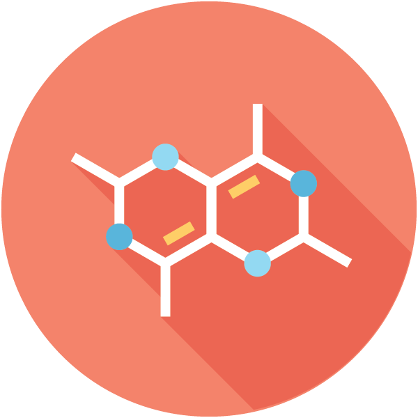 icon, orange, vector
