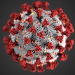 covid-19 coronavirus