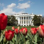 The White House